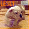 Lesly