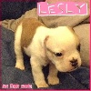 Lesly